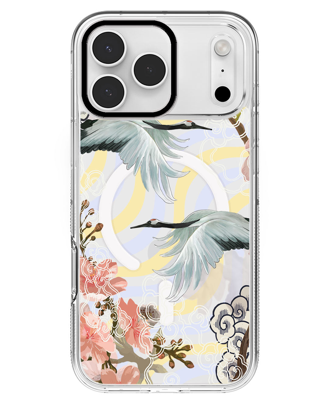 iPhone Rearguard MagSwap - Oil Painting Birds
