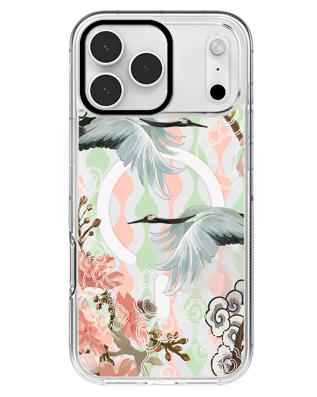 iPhone Rearguard MagSwap - Oil Painting Birds