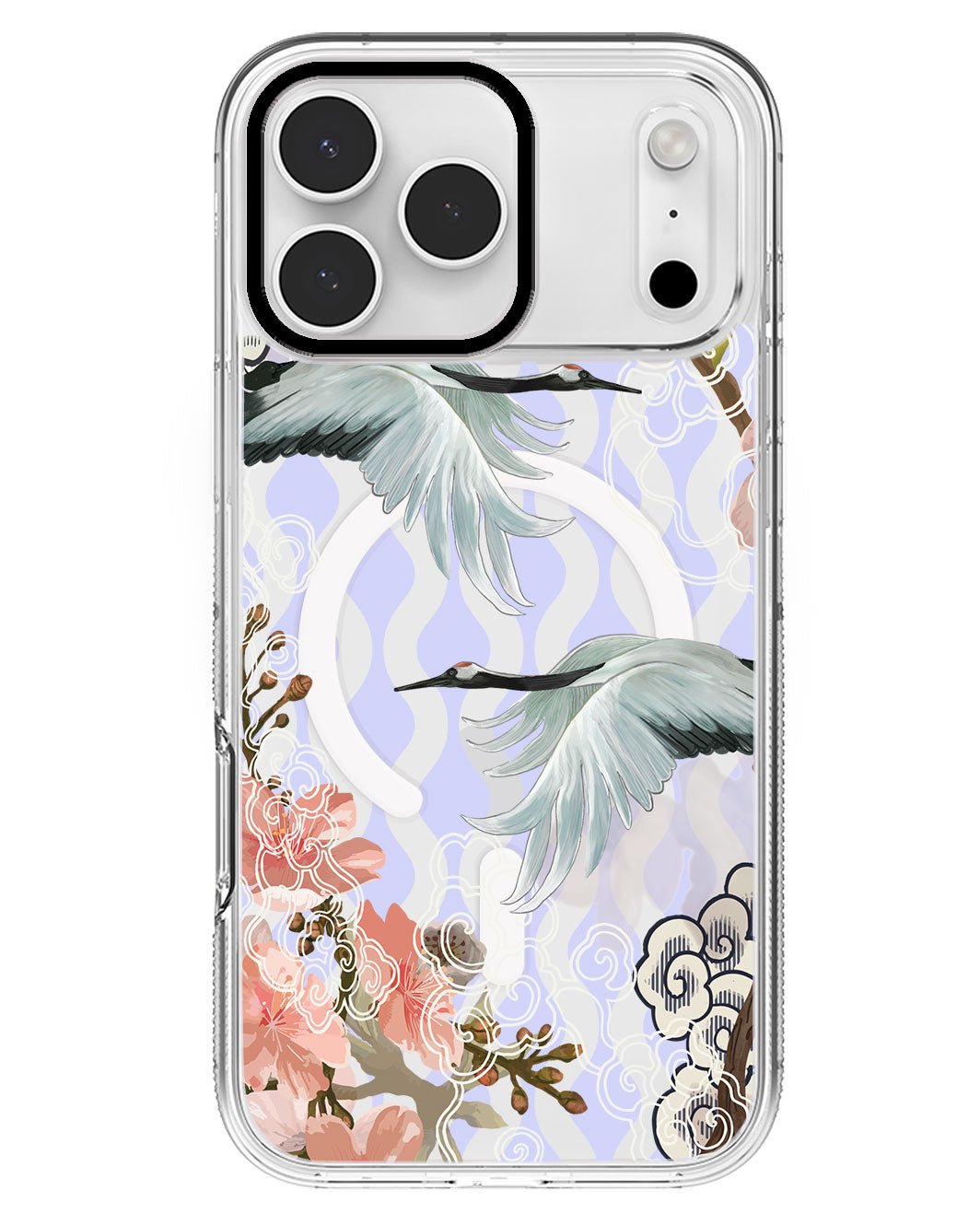 iPhone Rearguard MagSwap - Oil Painting Birds