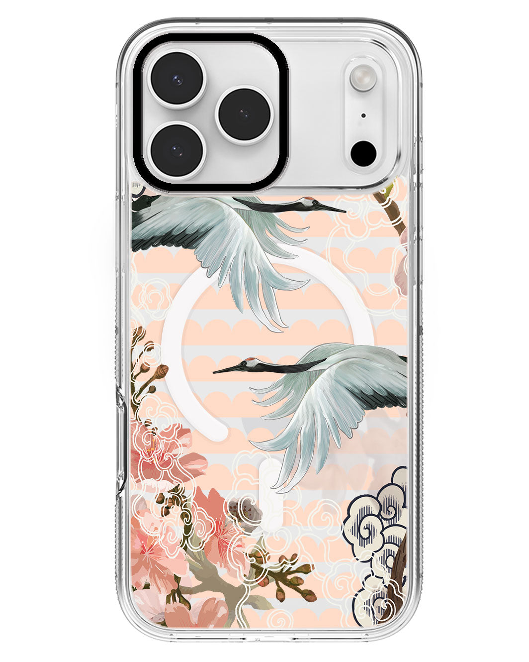 iPhone Rearguard MagSwap - Oil Painting Birds