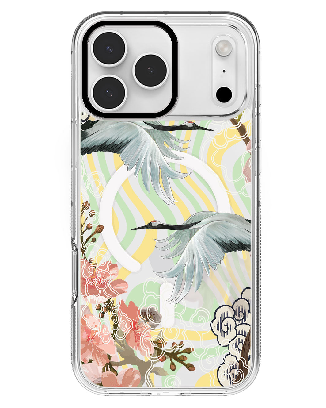 iPhone Rearguard MagSwap - Oil Painting Birds