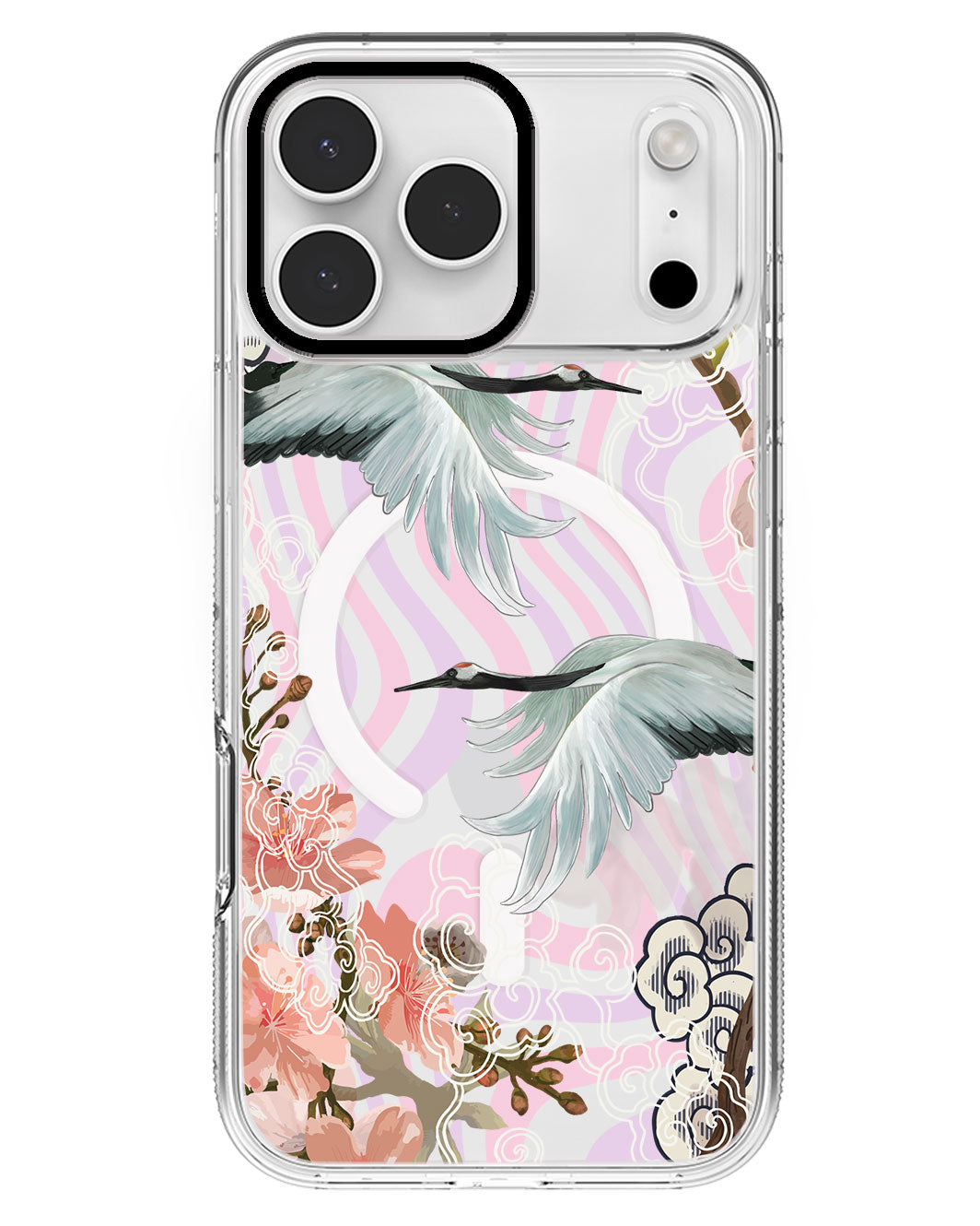 iPhone Rearguard MagSwap - Oil Painting Birds